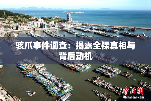 骇爪事件调查：揭露全裸真相与背后动机