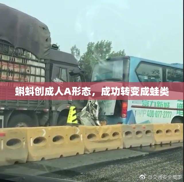 蝌蚪创成人A形态，成功转变成蛙类