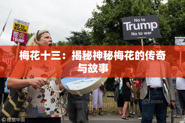 梅花十三：揭秘神秘梅花的传奇与故事