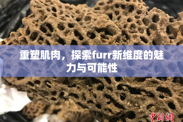 重塑肌肉，探索furr新维度的魅力与可能性