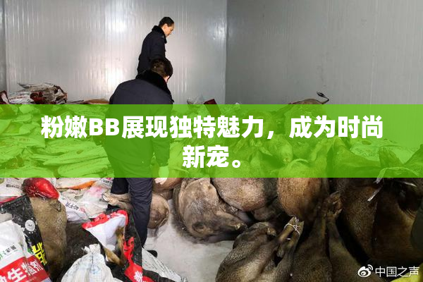 粉嫩BB展现独特魅力，成为时尚新宠。