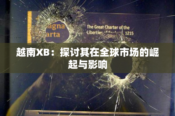 越南XB：探讨其在全球市场的崛起与影响