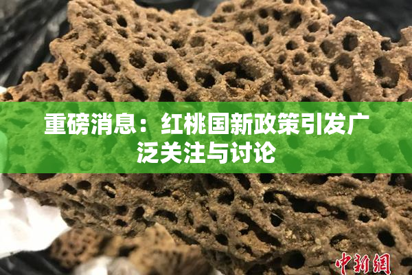 重磅消息：红桃国新政策引发广泛关注与讨论