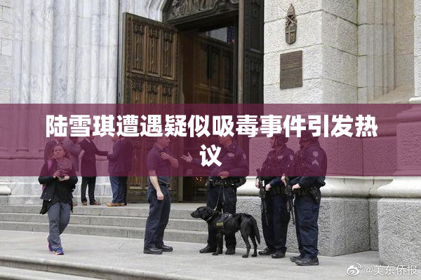 陆雪琪遭遇疑似吸毒事件引发热议