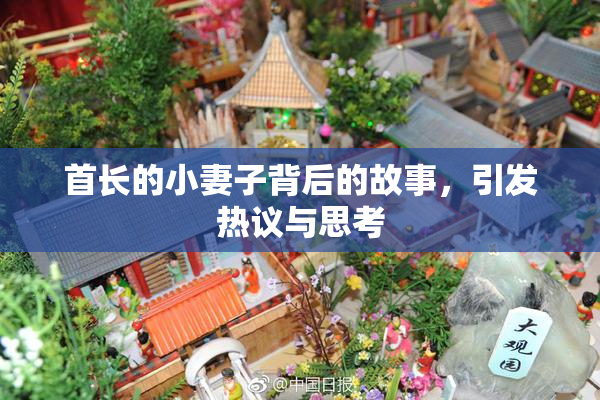 首长的小妻子背后的故事，引发热议与思考