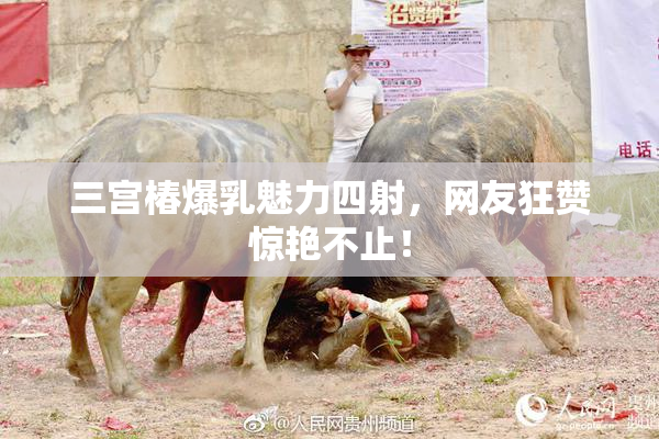 三宫椿爆乳魅力四射，网友狂赞惊艳不止！