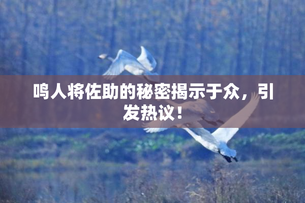 鸣人将佐助的秘密揭示于众，引发热议！