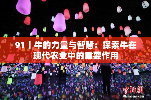 91丨牛的力量与智慧：探索牛在现代农业中的重要作用