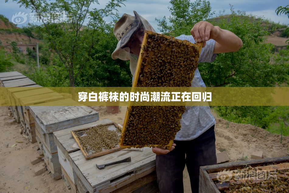 穿白裤袜的时尚潮流正在回归
