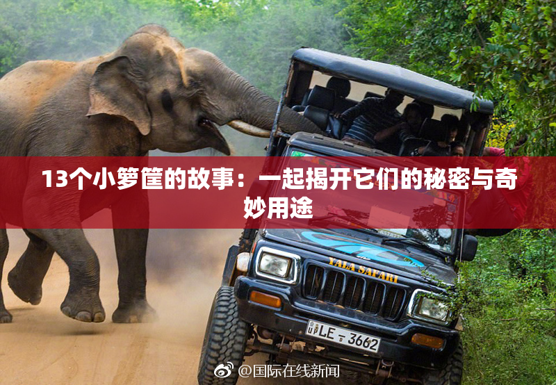13个小箩筐的故事：一起揭开它们的秘密与奇妙用途