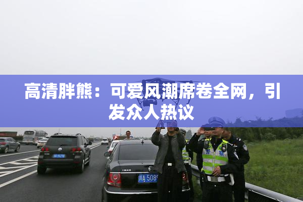 高清胖熊：可爱风潮席卷全网，引发众人热议