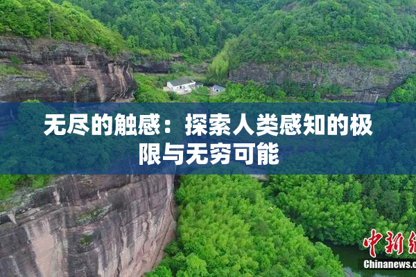 无尽的触感：探索人类感知的极限与无穷可能