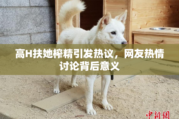 高H扶她榨精引发热议，网友热情讨论背后意义