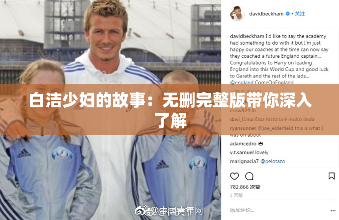 白洁少妇的故事：无删完整版带你深入了解