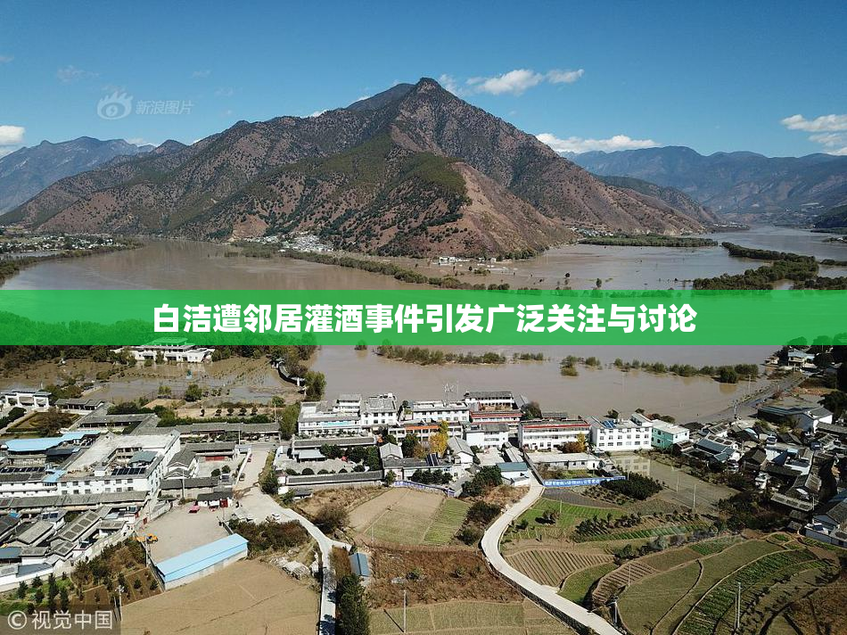 白洁遭邻居灌酒事件引发广泛关注与讨论