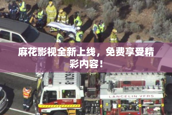 麻花影视全新上线，免费享受精彩内容！