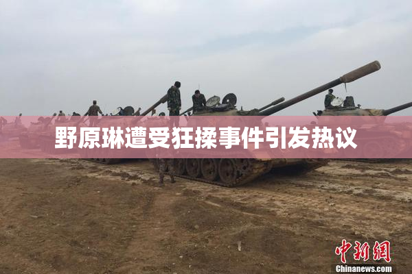 野原琳遭受狂揉事件引发热议
