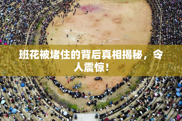 班花被堵住的背后真相揭秘，令人震惊！