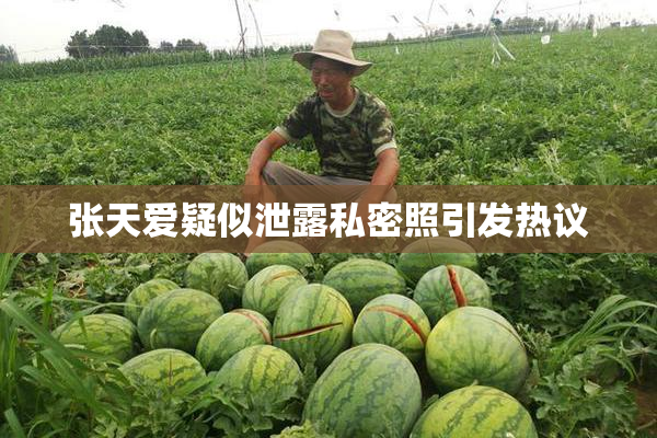 张天爱疑似泄露私密照引发热议