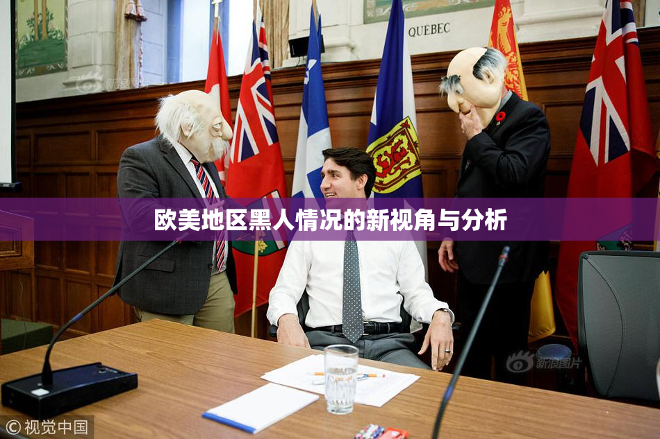 欧美地区黑人情况的新视角与分析