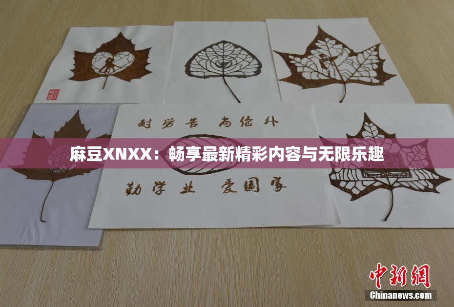 麻豆XNXX：畅享最新精彩内容与无限乐趣