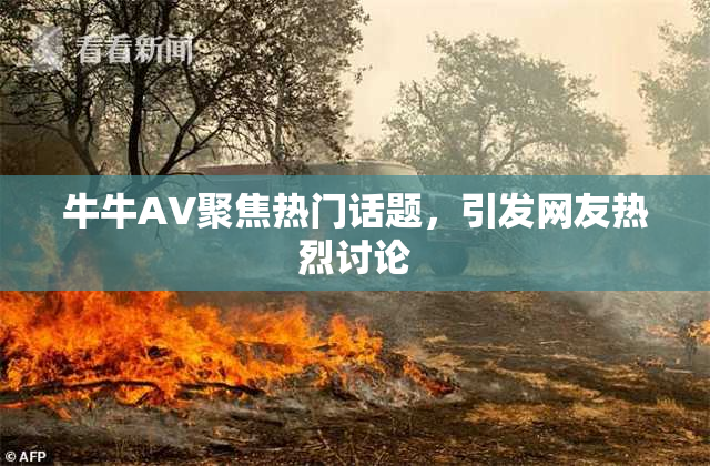 牛牛AV聚焦热门话题，引发网友热烈讨论