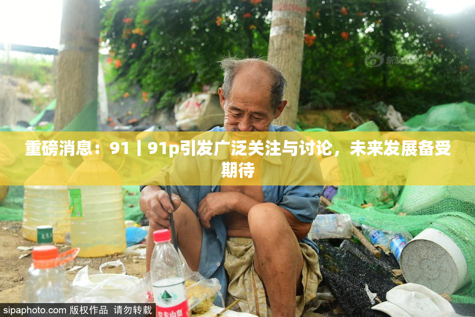 重磅消息：91丨91p引发广泛关注与讨论，未来发展备受期待