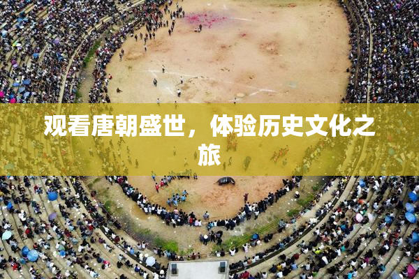 观看唐朝盛世，体验历史文化之旅