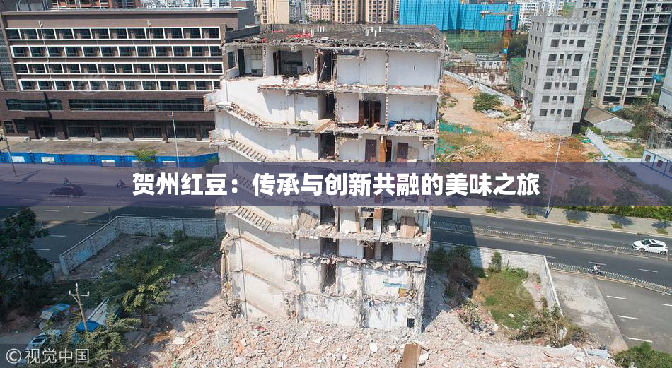 贺州红豆：传承与创新共融的美味之旅