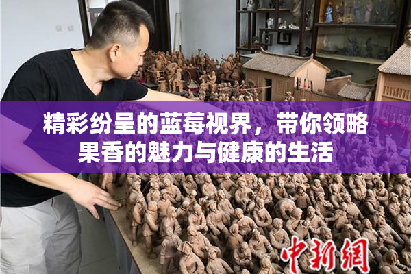精彩纷呈的蓝莓视界，带你领略果香的魅力与健康的生活