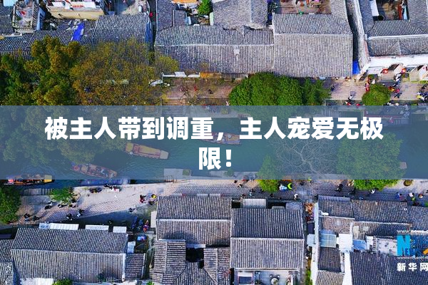 被主人带到调重，主人宠爱无极限！