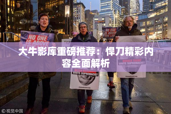 大牛影库重磅推荐：悍刀精彩内容全面解析