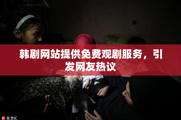 韩剧网站提供免费观剧服务，引发网友热议