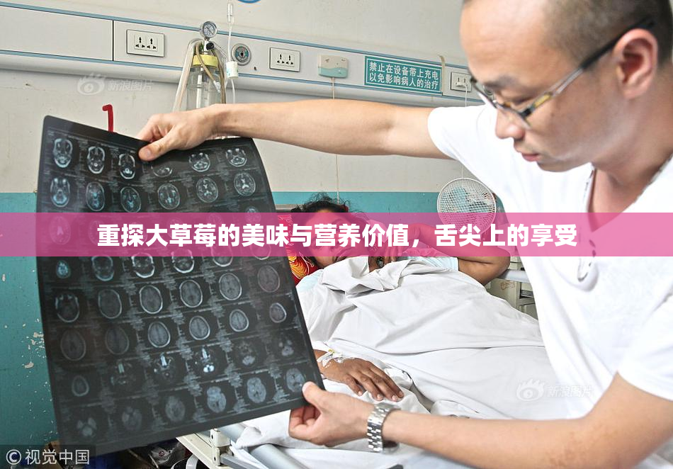 重探大草莓的美味与营养价值，舌尖上的享受