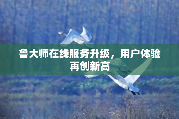 鲁大师在线服务升级，用户体验再创新高