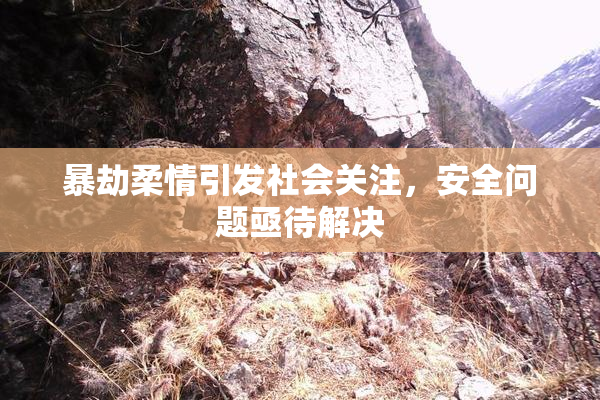 暴劫柔情引发社会关注，安全问题亟待解决