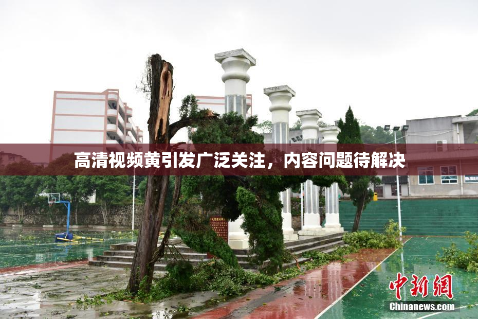 高清视频黄引发广泛关注，内容问题待解决