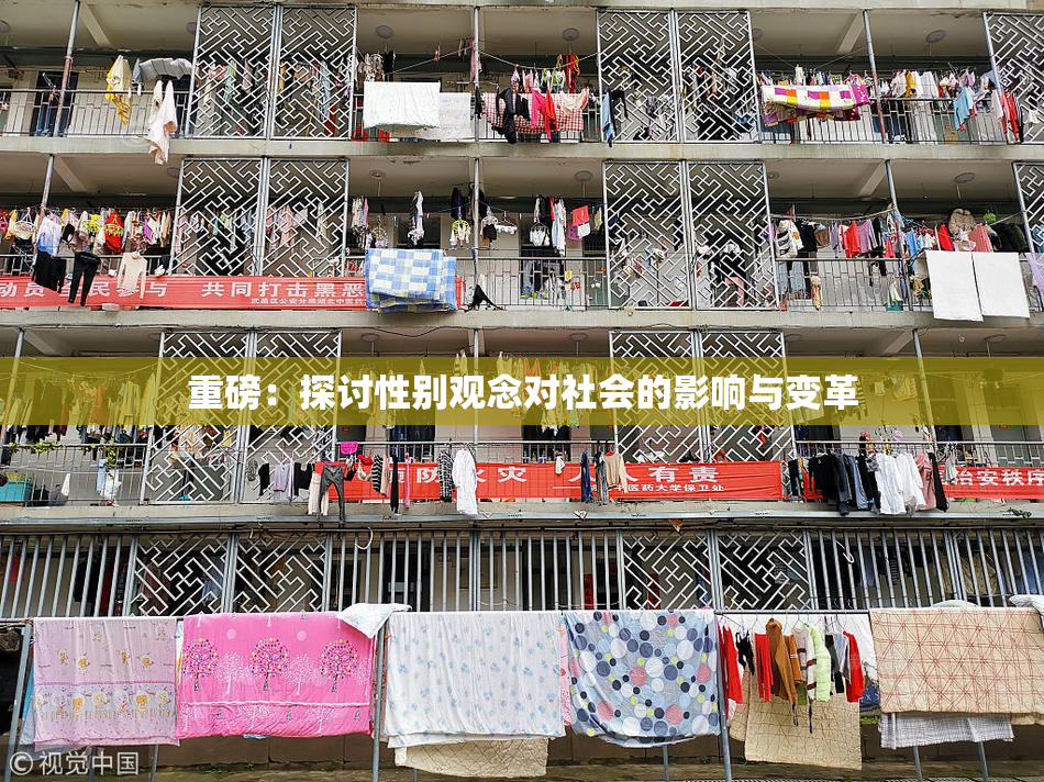 重磅：探讨性别观念对社会的影响与变革