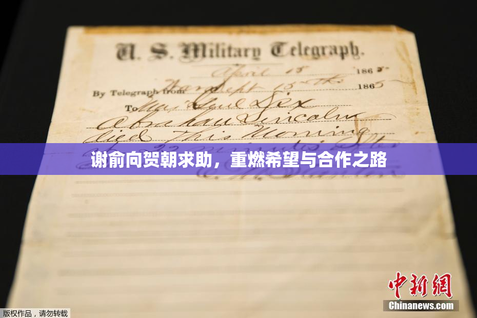 谢俞向贺朝求助，重燃希望与合作之路