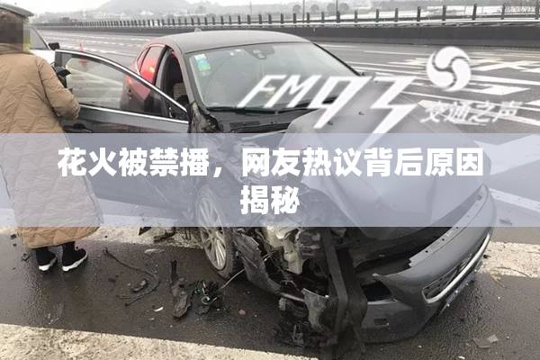 花火被禁播，网友热议背后原因揭秘