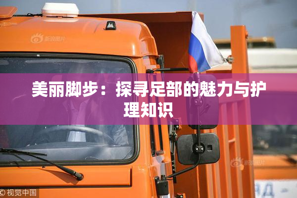 美丽脚步：探寻足部的魅力与护理知识