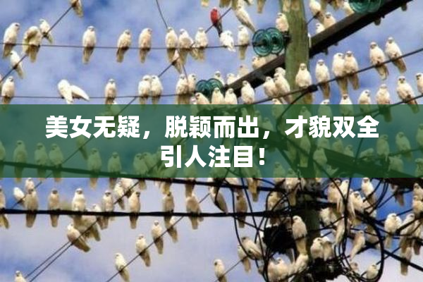 美女无疑，脱颖而出，才貌双全引人注目！