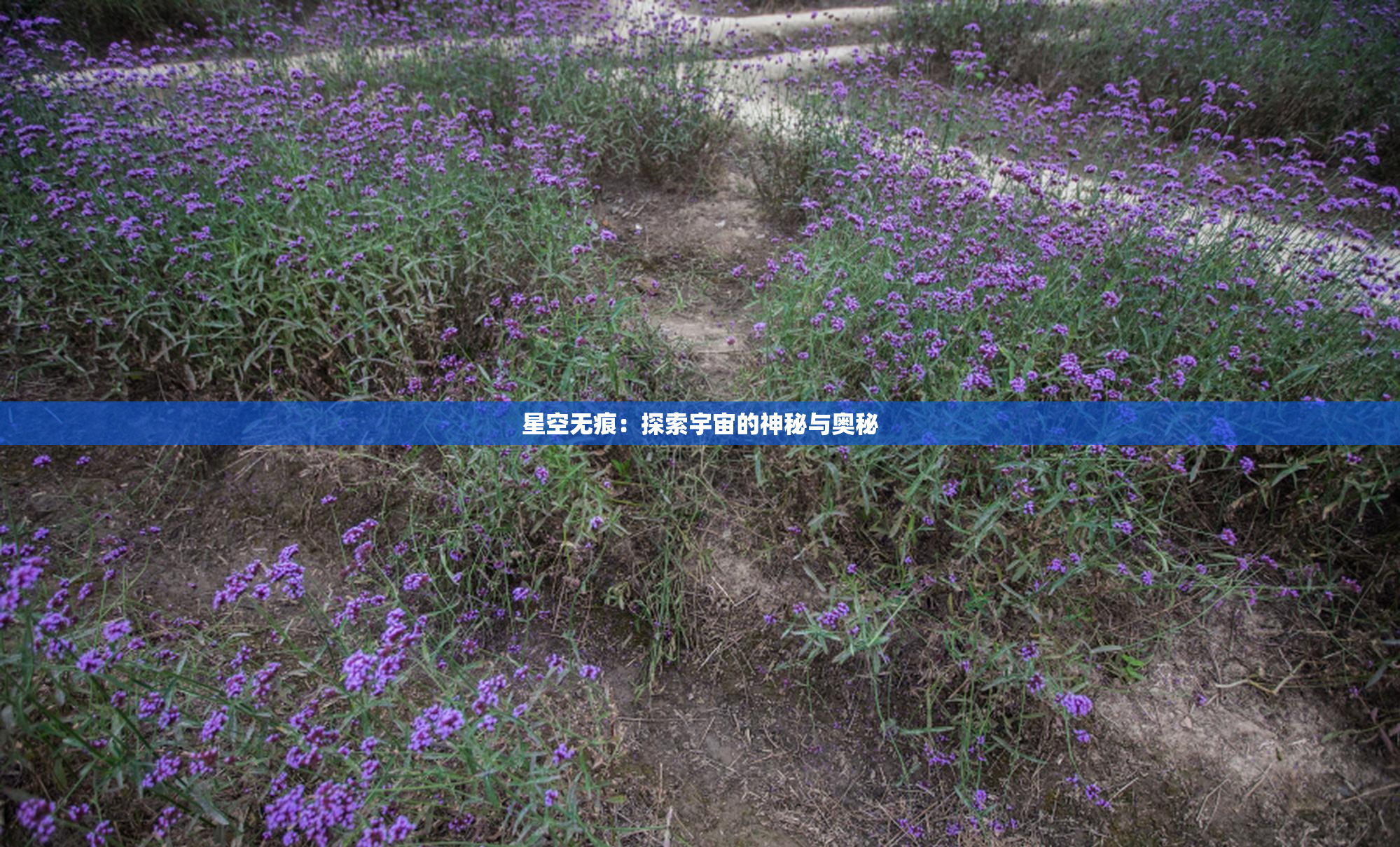 星空无痕：探索宇宙的神秘与奥秘