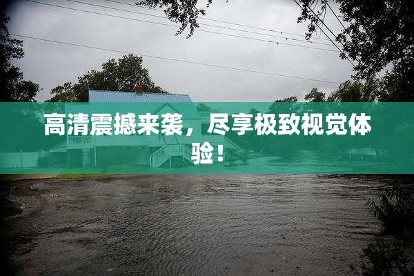 高清震撼来袭，尽享极致视觉体验！