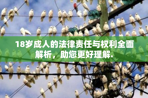 18岁成人的法律责任与权利全面解析，助您更好理解.