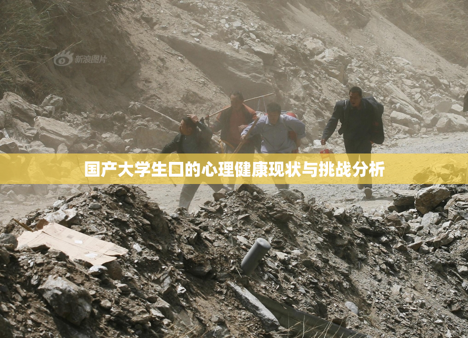 国产大学生囗的心理健康现状与挑战分析