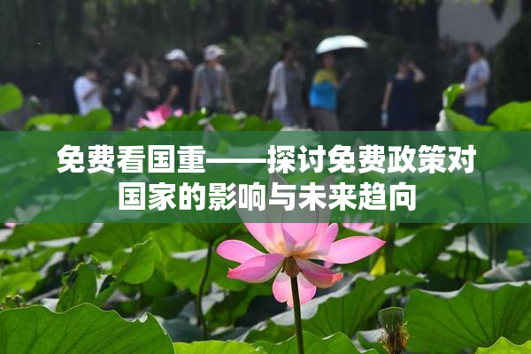 免费看国重——探讨免费政策对国家的影响与未来趋向