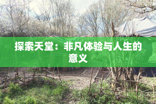 探索天堂：非凡体验与人生的意义
