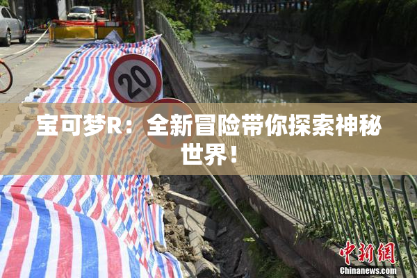 宝可梦R：全新冒险带你探索神秘世界！
