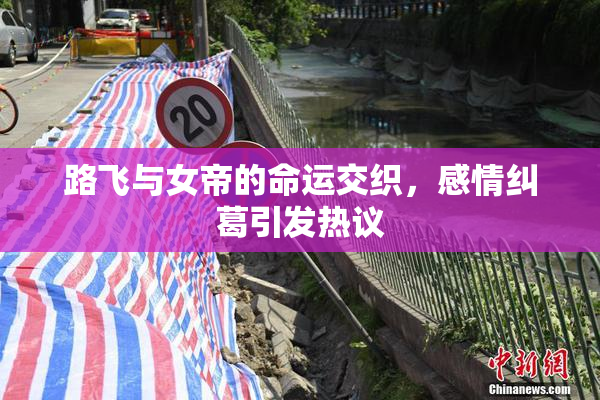路飞与女帝的命运交织，感情纠葛引发热议